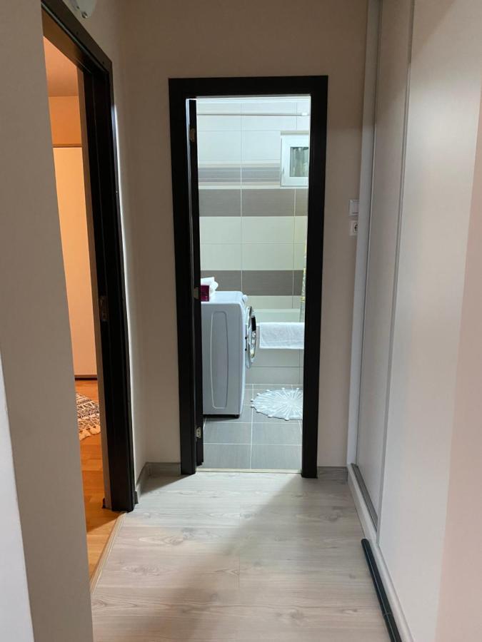 Sellada Apartament - Free Private Parking,Ac,Wi-Fi Carei Luaran gambar